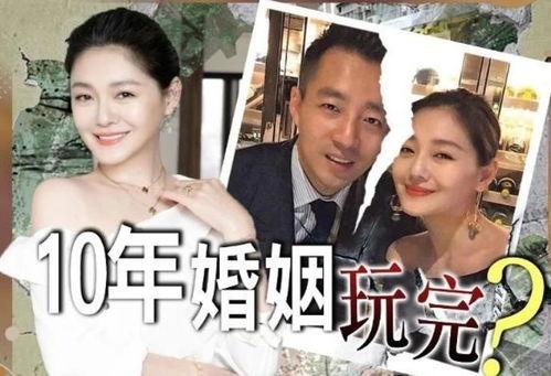 娱乐吃瓜 汪小菲小说,汪小菲的娱乐吃瓜小说